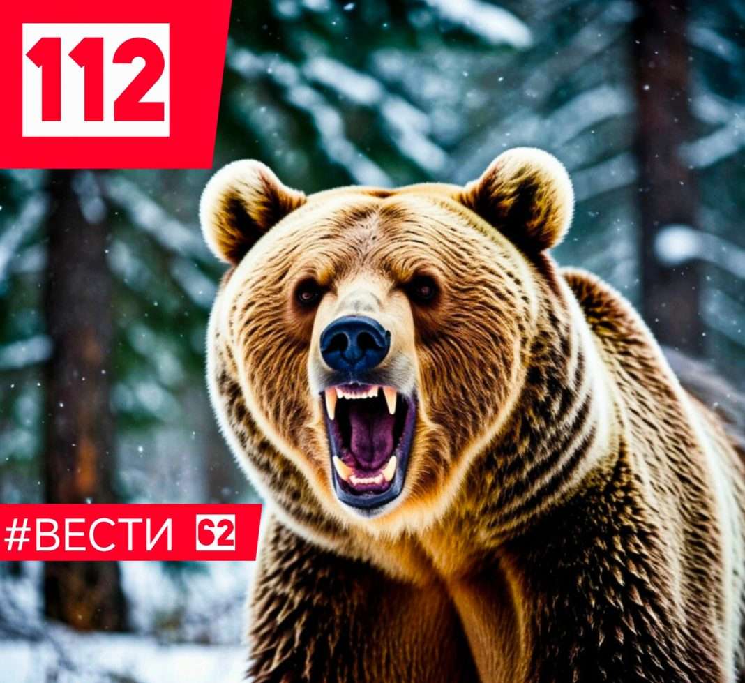FRwJfwRpfF0gebGTv6-sPAPIK3M0OzvhtUGxWKoroDywXrQ9ytH1B8f9FJNOYzm3kafwYtXu2QjpNA078UtB2Vmi