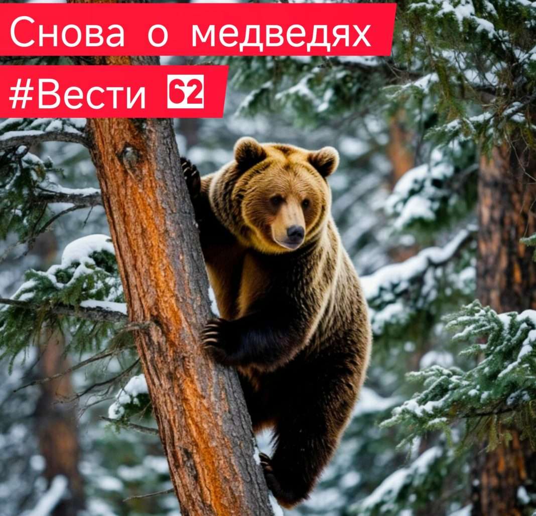 hquSGr_dmHWsXobc5sjTnxJvvD2lNYQHlIy1X6gwPH3EP-YnY_Of0SgG7PjS2Jbr2cUzsScWcRCdib0y8oz__A7U