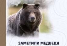 Уважаемые жители Богучанского округа!