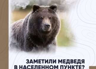 Уважаемые жители Богучанского округа!